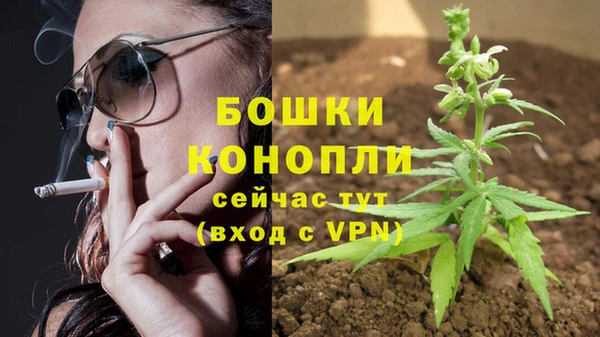 винт Арсеньев