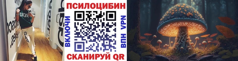 продажа наркотиков  Брюховецкая  гидра как зайти  Псилоцибиновые грибы Psilocybine cubensis 