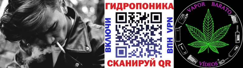 Шишки марихуана сатива Брюховецкая
